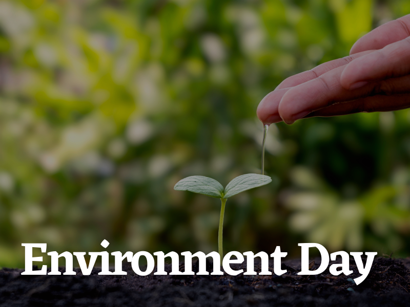 Environment Day
