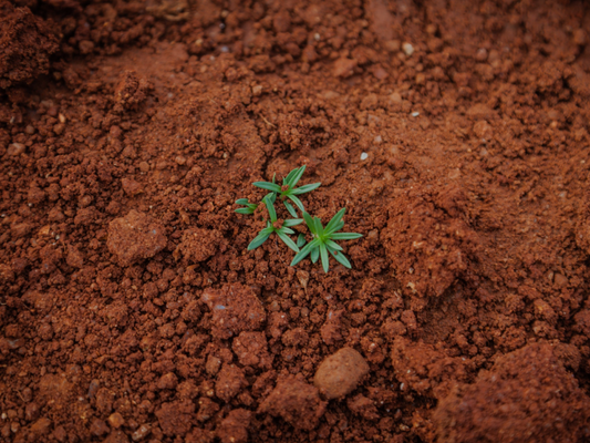 Impact of plastic usage on soil