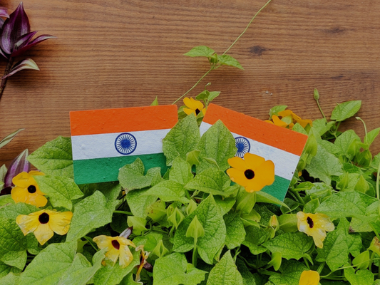 Seed Paper Flag | Plantable Flag | Recycled paper | Indeppendence Day 2022 - THE BAG