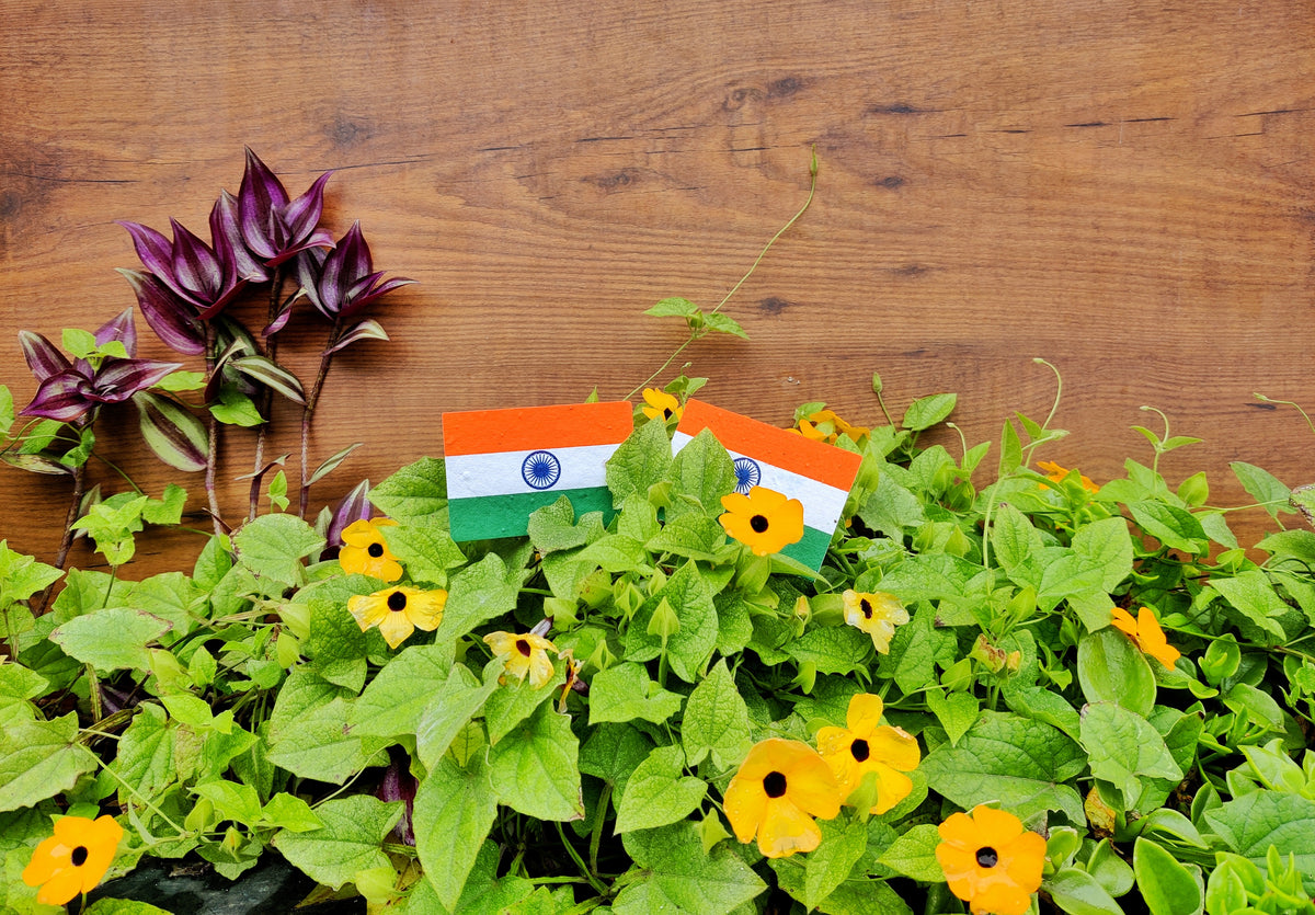 Seed Paper National Flags Badges THE BAG seed-paper-national-flags-badges-the-bag