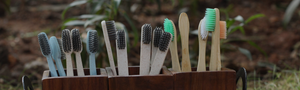 bamboo toothbrushes, cornstarch toothbrushes, wheatgrass toothbrushes